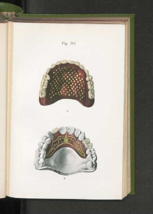 Fig. 269.