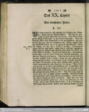 Das XX. Capitel. Von streichenden Finten
