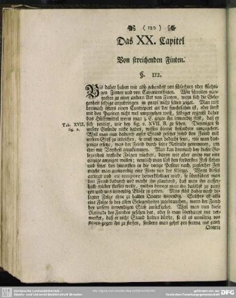 Das XX. Capitel. Von streichenden Finten
