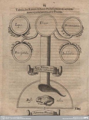 Tabula, seu Ramus Arboris Philosophicae de accurtatione operis Saturni, sive Plumbi.