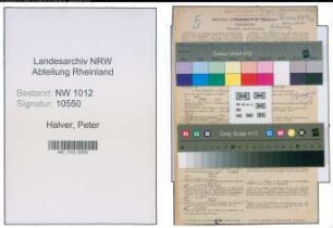 Entnazifizierung Peter Halver , geb. 04.06.1885 (Kaufmann)
