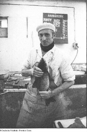 Arbeiter in einer Fischfabrik, aufgenommen in Budapest
