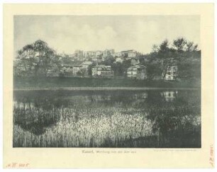 Kassel Weinberg