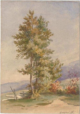 Neureuther, Lorenz; Landschaftskizzen - Baum (Ansicht)