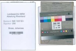 Entnazifizierung Johannes Bross , geb. 00.00.0000 (Angestellter)