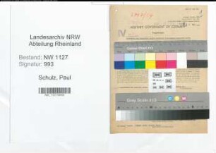 Entnazifizierung Paul Schulz , geb. 20.03.1901 (Arzt)
