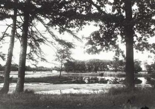 Blick über den Golfteich