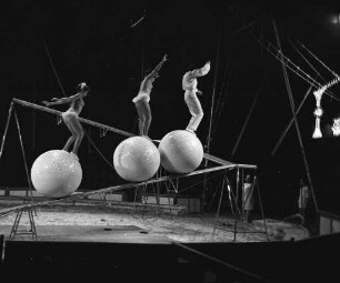Gastspiel des Zirkus Roland Busch in Karlsruhe.