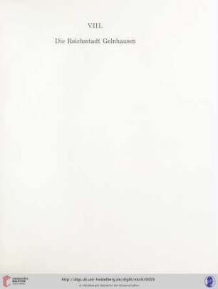 VIII. Die Reichsstadt Gelnhausen