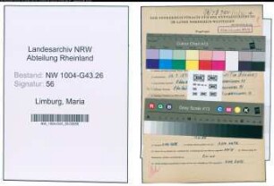 Entnazifizierung Maria Limburg , geb. 28.09.1895 ()