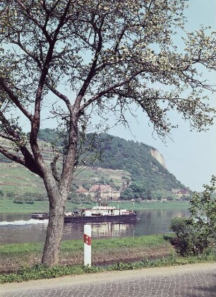 Spaargebirge mit Boselfelsen : Spaargebirge mit Boselfelsen und Herrenhaus Rote Presse in Sörnewitz, Dresdner Straße 344. Blick von Südwesten über die Elbe mit Frachtdampfer