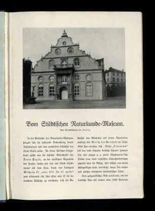 Vom Städtischen Naturkunde-Museum