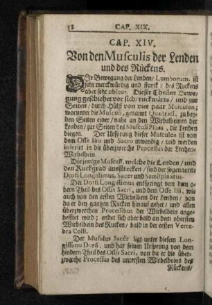 Cap. XIV. Von den Musculis der Lenden und des Rückens.