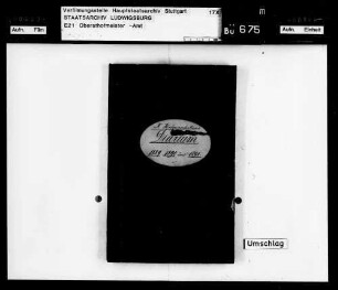 Diarien (Tagebücher)