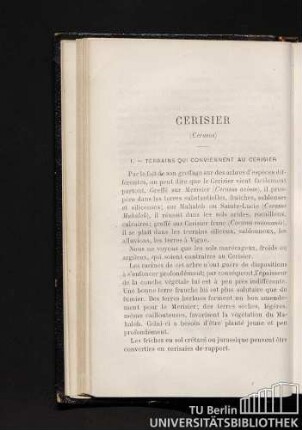Cerisier (Cerasus)