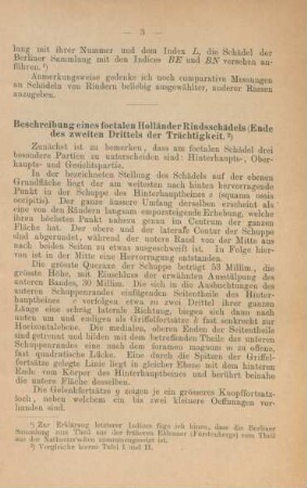 Beschreibung eines foetalen Holländer Rindsschädels (Ende des zweiten Drittels der Trächtigkeit