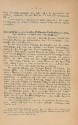 Beschreibung eines foetalen Holländer Rindsschädels (Ende des zweiten Drittels der Trächtigkeit
