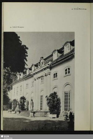 Schloß Mosigkau