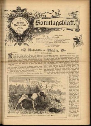 Ausgabe vom Sonntag, den 04. November 1894.