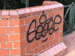 GooSe