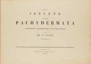 1,2.1821: Die Skelete der Pachydermata