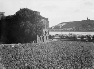 Brömserburg in Rüdesheim