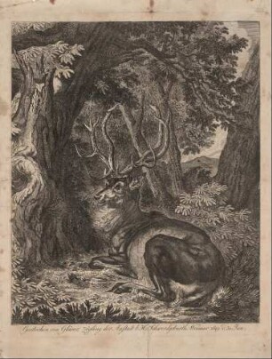 Ruhender Hirsch im Wald