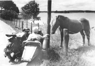 Mit dem Motorrad auf Wanderfahrt durch Holstein. Ein Pferd wird gefüttert
