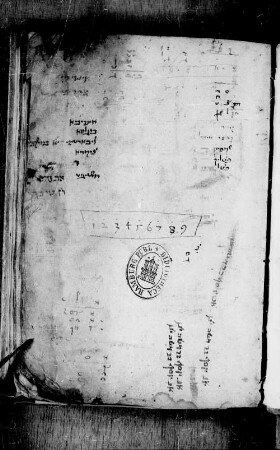 Milon Ivri-Yidish le-Torah : SUB Hamburg Cod. hebr. 137