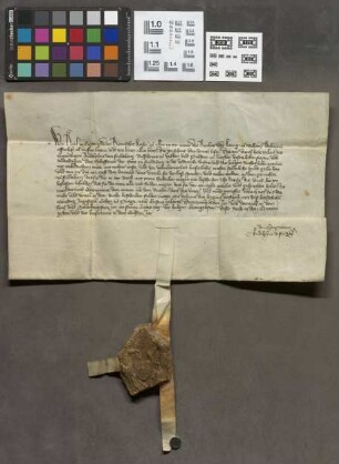 Friedberg: Kaiser Karl IV. erlaubt der Stadt Friedberg, ein Gerichtsbuch zu führen