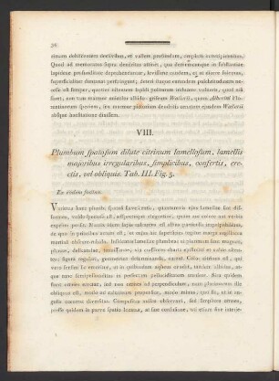 VIII. Plumbum spatosum dilute citrinum lamellosum, lamellis majoribus irregularibus, ... Tab. III. Fig. 5