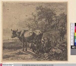 [Der Kuhhirte; The Cowherd]