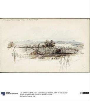 Tunis. Donnerstag. 3. Mai 1894