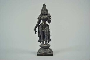 Shri Devi