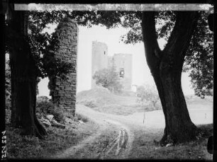 Ruine der Burg Arnstein im Harz, Durchblick