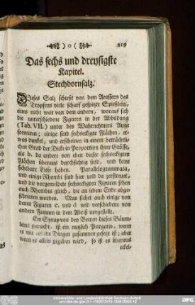 Das sechs und dreysigste Kapitel. Stechdornsalz.