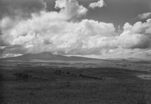 Höhenlandschaftspanorama : Hochland mit Einzelbaumvegetation bei Addis Abeba.