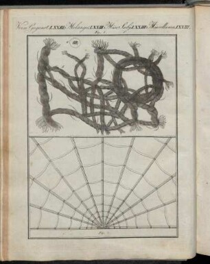 No. 10. Vermischte Gegenstände LXXIII. Mikroskopische Gegenstände.