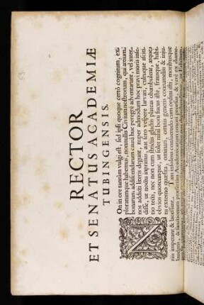 Rector Et Senatus Academiae Tubingensis