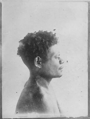 Mann der Papua (Sammlung Richard Wegner 1869/1931)
