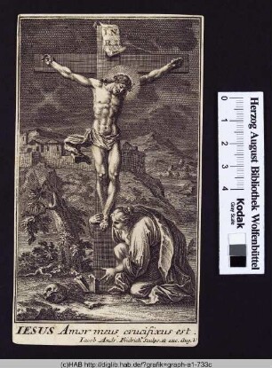 Jesus Amor meus crucifixus est.