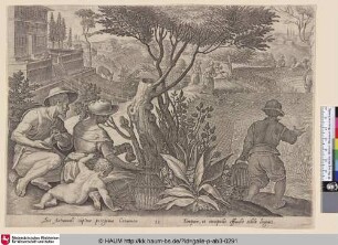 [Quail hunt with quail pipe and net; Wachteljagd mit Wachtelpfeife und Netz]
