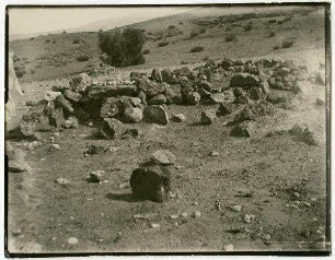 schech suelih