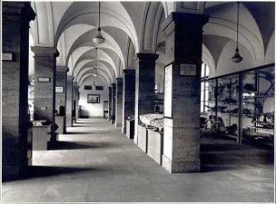 Fischer, Theodor; Wiesbaden; Museum - Innenansicht