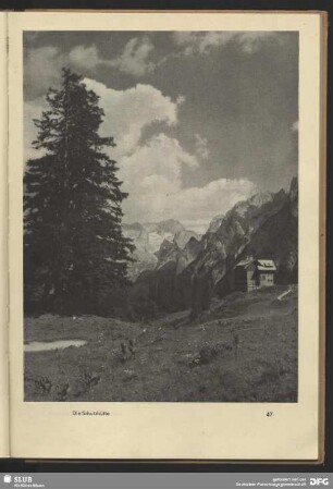 Die Schutzhütte