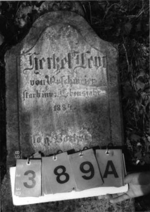 Grabstein 389 (Index: 99792080) Material: Sandstein Zustand: stark verwittert, Stele liegend Maße HxBxT: 103x46x16 cm Beschreibung: Stele, getreppter Sockel, Konvexbogenabschluß mit Mittelakroter Symbolik: Blätter: Grabstein 389A