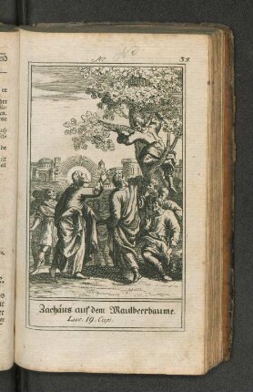 Zachäus auf dem Maulbeerbaume.