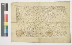 Lehensbrief des Abts Albrecht von Maulbronn für den Hof des Klosters Maulbronn in Lienzingen, genannt der Burghof