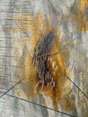 Gesellschaft 6