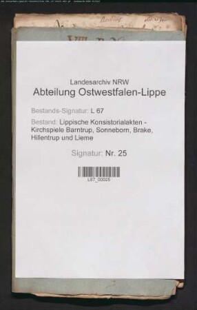 Gehalt, Güter und Einkünfte des Pastors
